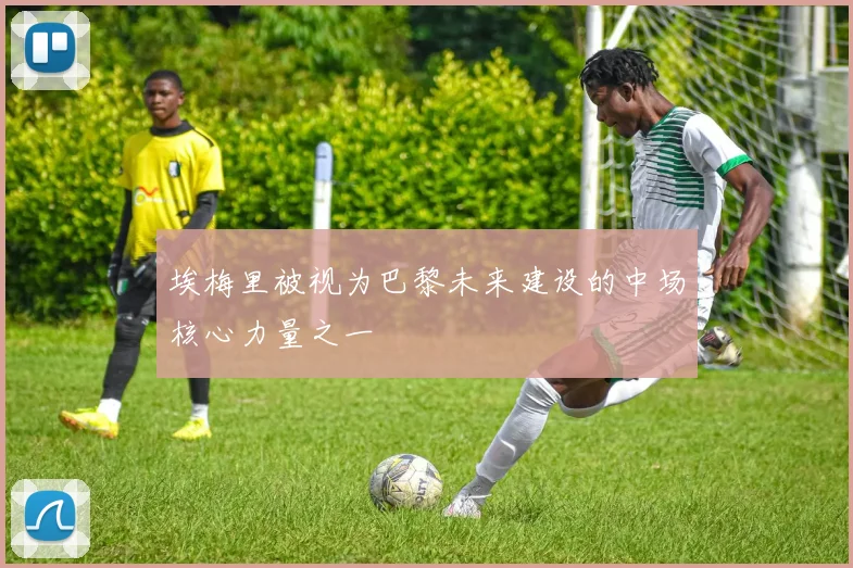 埃梅里被视为巴黎未来建设的中场核心力量之一