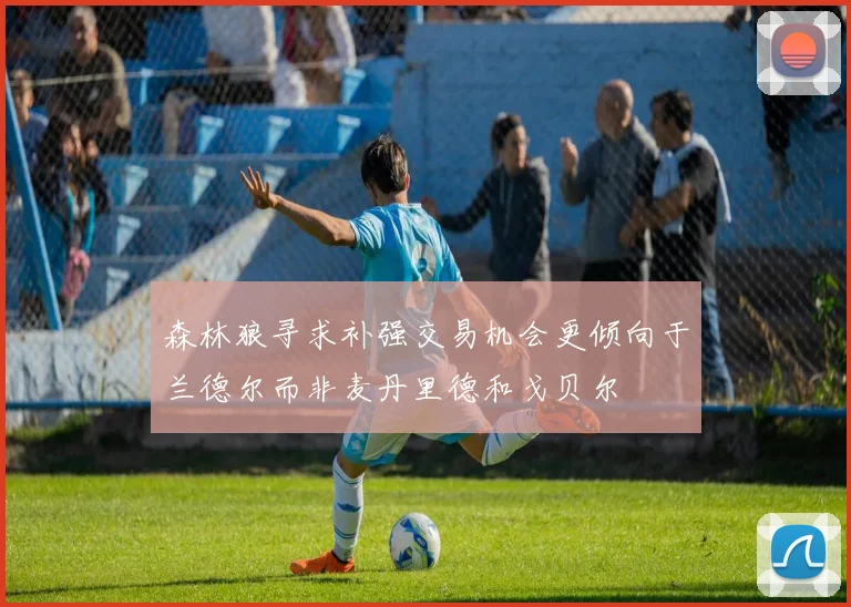 森林狼寻求补强交易机会更倾向于兰德尔而非麦丹里德和戈贝尔